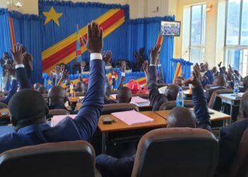 Assemblée provinciale du Sud-Kivu : Mise en place des commissions pour statuer sur la régularité des dossiers des députés