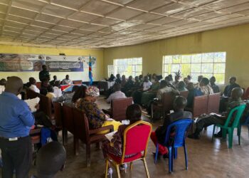 Sud-Kivu : Paix retrouvée entre la Chefferie de Basile et la Réserve d’Itombwe