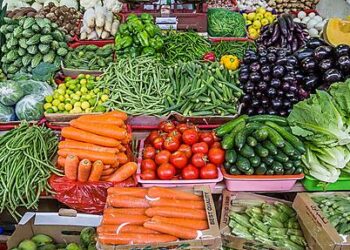 Monde : Un regard sur la célébration de la journée des droits des consommateurs