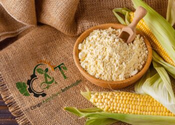 Kabare  : l’organisation CAT entame l’installation d’un système photovoltaïque à MURHESA pour appuyer la transformation des produits agricoles