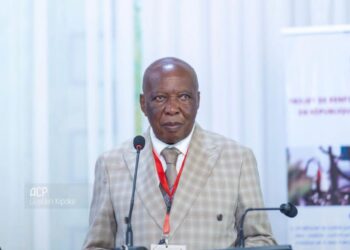 UNPC/RDC: Kamanda wa Kamanda MUZEMBE élu président national.