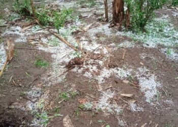 Walungu: Une forte pluie accompagnée de grêles fait des dégâts énormes dans le groupement de Luciga