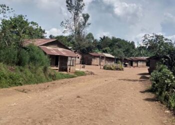 Kabare: La population met fin à la vie d’un homme présumé voleur à BUSHWIRA