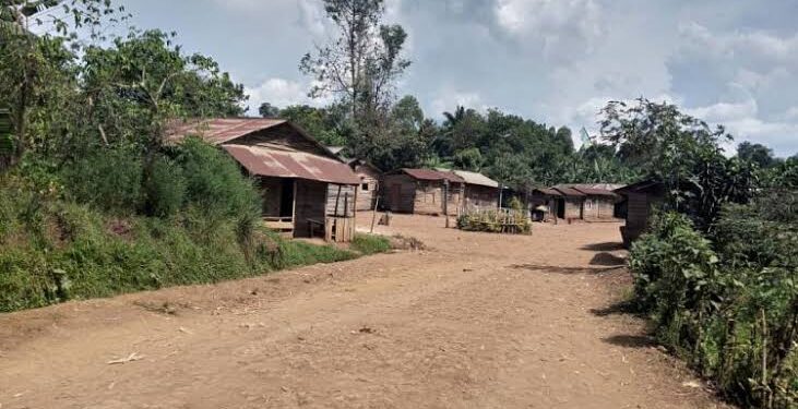 Kabare: La population met fin à la vie d’un homme présumé voleur à BUSHWIRA