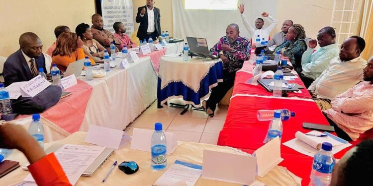 Sud-Kivu : Les journalistes, DDH et acteurs de la société civile prêts à vulgariser le contenu du code congolais sur le numérique