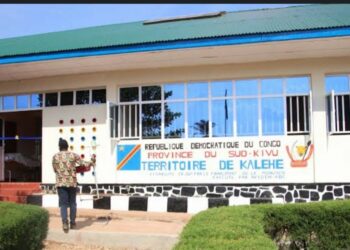 M23 au Sud-Kivu : Les FARDC Reprennent Plusieurs Villages dans le Territoire de Kalehe