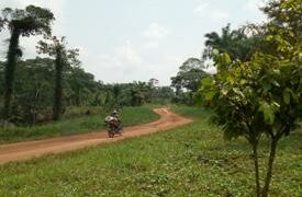 Insécurité au Sud-Kivu : Echange des tirs entre les Wazelendo et les éléments M23 à Kabare