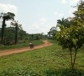 Insécurité au Sud-Kivu : Echange des tirs entre les Wazelendo et les éléments M23 à Kabare