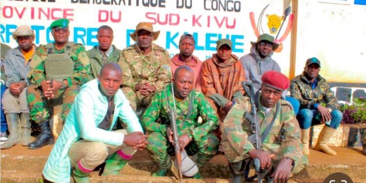 Kalehe : Sept jeunes rejoignent délibérément les troupes de l’Armée Révolutionnaire Congolaise