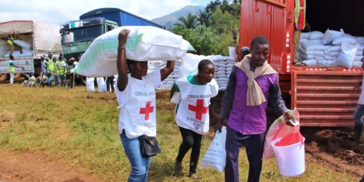 Sud-Kivu : Le CICR apporte une aide vitale à plus de 5.000 déplacés et retournés de Kalehe