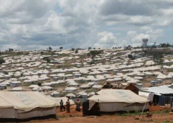 Grands-lacs : Le convoi d’aide humanitaire en faveur des réfugiés congolais au Burundi a-t-il connu une panne technique subite ?