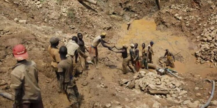 Sud-Kivu : Invasion massive de moustiques à Loméra, la population redoute une épidémie de paludisme