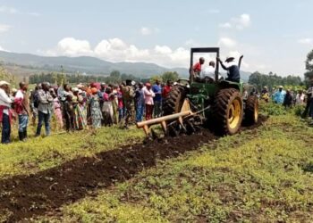Sud-kivu/Agriculture : Kabare lance la campagne agricole 2025-2026 sous l’impulsion de l’AFC/M23