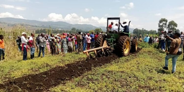 Sud-kivu/Agriculture : Kabare lance la campagne agricole 2025-2026 sous l’impulsion de l’AFC/M23