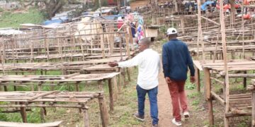 Bukavu: Nouvellement créé par l’AFC/M23, le marché de libération compte à ce jour au moins 1000 vendeurs