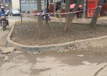 Bukavu : Pour protéger les espaces publics jadis utilisés comme des dépotoirs sur des artères principales et ronds-points de la ville, la mairie y piquent la pelouse ainsi que des fleurs