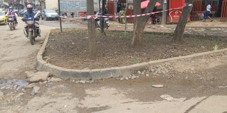 Bukavu : Pour protéger les espaces publics jadis utilisés comme des dépotoirs sur des artères principales et ronds-points de la ville, la mairie y piquent la pelouse ainsi que des fleurs
