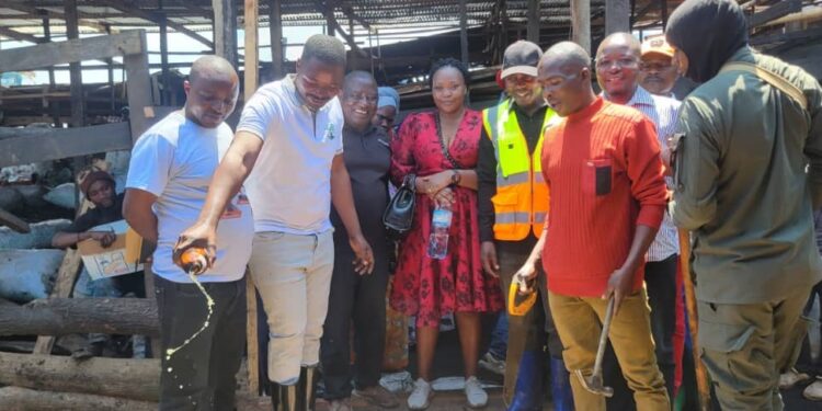 Kadutu : Le bourgmestre Byamungo Kazimiri Samuel remet un nouveau hangar aux vendeurs des braises et des porcs au marché beach Muhanzi