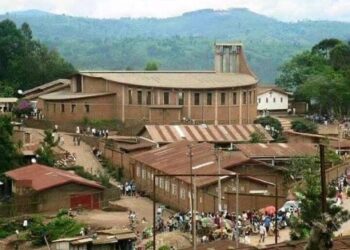 Panzi: Deux présumés voleurs tués par la population à Mulengeza 2