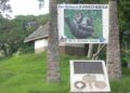 Sud-kivu: Les riverains du PNKB courent le risque de manque des sources de survie à cause de l&rsquo;exploitation illicite du parc (Experts)