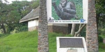 Sud-kivu: Les riverains du PNKB courent le risque de manque des sources de survie à cause de l&rsquo;exploitation illicite du parc (Experts)