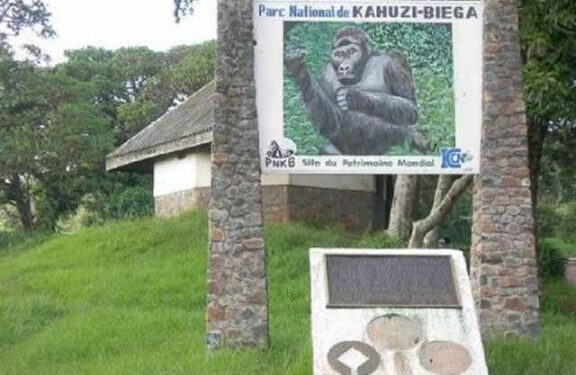 Sud-kivu: Les riverains du PNKB courent le risque de manque des sources de survie à cause de l&rsquo;exploitation illicite du parc (Experts)