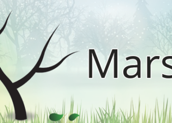 Sud kivu: Mars, mois vert consacré à la sensibilisation à la protection de l&rsquo;environnement, la société civile environnementale appelle à une action concrète