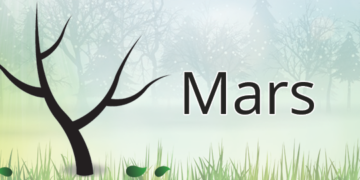 Sud kivu: Mars, mois vert consacré à la sensibilisation à la protection de l&rsquo;environnement, la société civile environnementale appelle à une action concrète