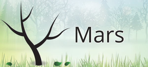 Sud kivu: Mars, mois vert consacré à la sensibilisation à la protection de l’environnement, la société civile environnementale appelle à une action concrète