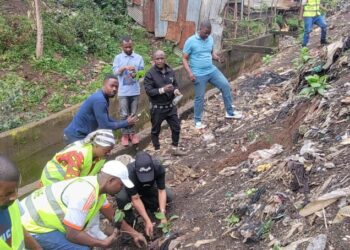 Bukavu: Plus de 500 plantules d&rsquo;arbres déjà  plantés dans une semaine dans la commune de kadutu pour lutter contre les érosions(Byamungo Kazimiri)