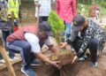 Bukavu: Le maire de la ville Nicolas Kyalangalilwa supervise l’opération d’abattage d’arbres vétustes et de plantation d’autres sur le boulevard