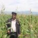 Sud-kivu: Sécurité alimentaire, 35 hectares de maïs plantés à Kamanyola sur financement de l&rsquo;AFC/M23 attendent la récolte
