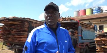 Sud-kivu: Les services de sécurité de l&rsquo;AFC/M23 interceptent 11 camions transportant des planches en provenance du PNKB et les envoient en fourrière